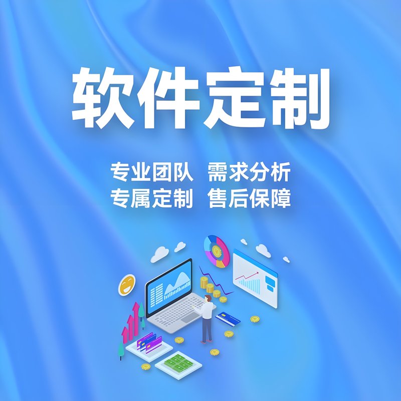 软件开发
